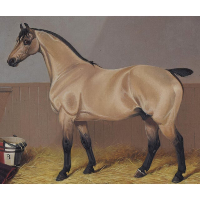 19th Century Equestrian Portrait of a Horse in Stall by Colin Greene 1898 For Sale - Image 4 of 6