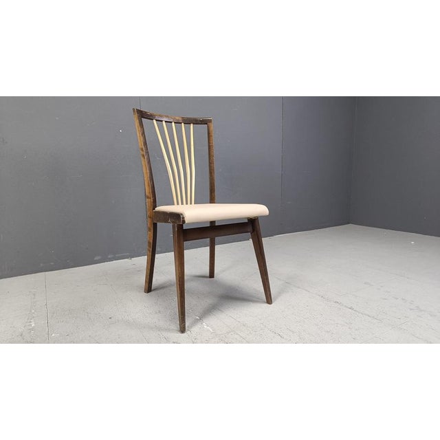 Mid-Century Italian Dining Chairs, 1950s, Set of 6 For Sale - Image 15 of 16