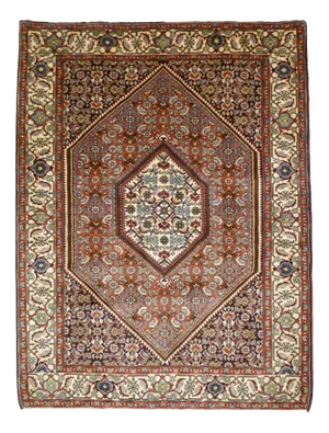 Vintage Bidjar Rug, 1980s