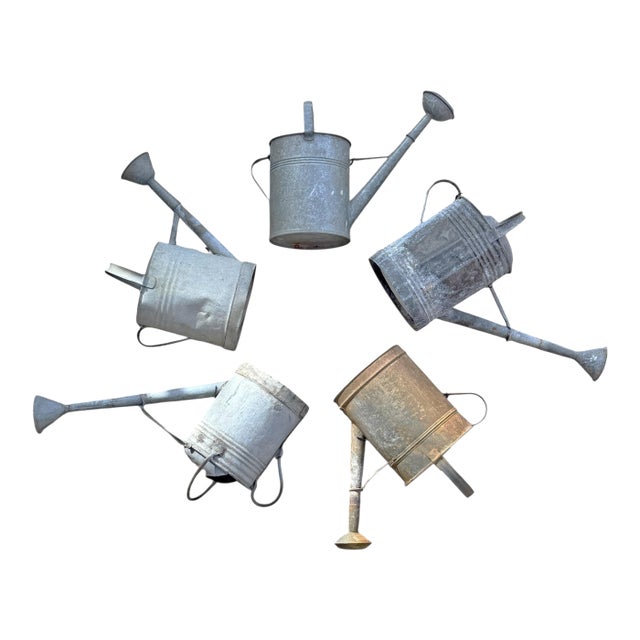 Collection of Five Belgian Zinc Watering Cans on Custom Wall Mounts For Sale