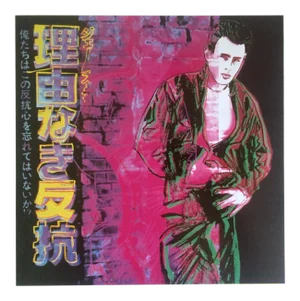 Andy Warhol Estate Vintage 1990 Collector's Pop Art Lithograph Print " Rebel Without a Cause - James Dean " 1985
