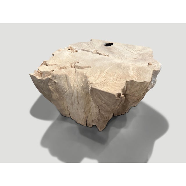 Andrianna Shamaris Bleached Teak Wood Sculptural Coffee Table or Pedestal For Sale - Image 17 of 18