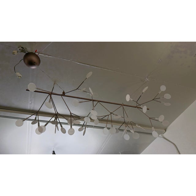 Modern Bertjan Pot for Moooi Heracleum Endless Suspension Lamp For Sale - Image 3 of 12