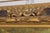 Gold Large Oil on Canvas Still Life Fruit & Flowers For Sale - Image 8 of 14