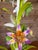 Traditional Vintage Italian Tole Floral Table Lamp With Hand-Painted Flowers For Sale - Image 3 of 11