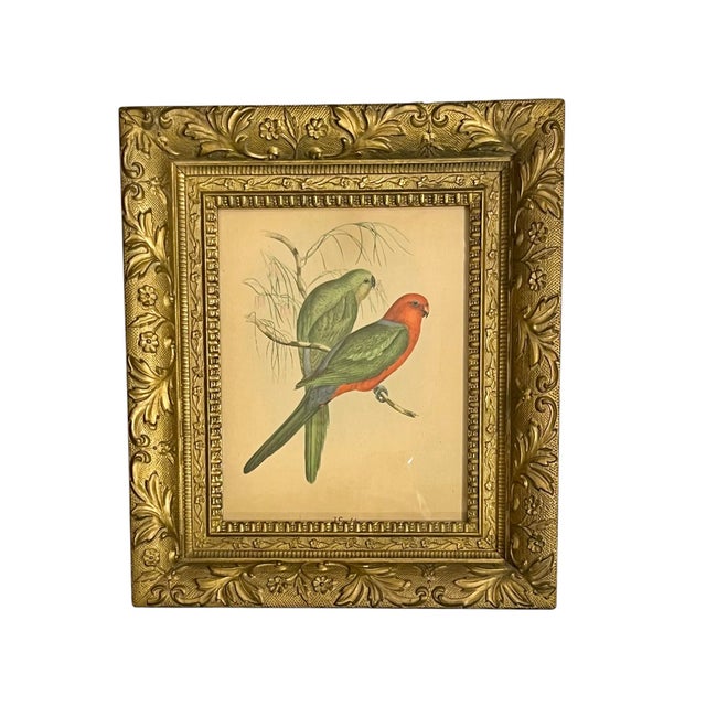 Hollywood Regency Early 20th Century Framed J. Gould Bird Prints in Ornate Gilt Frames - a Pair For Sale - Image 3 of 18