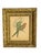 Hollywood Regency Early 20th Century Framed J. Gould Bird Prints in Ornate Gilt Frames - a Pair For Sale - Image 3 of 18