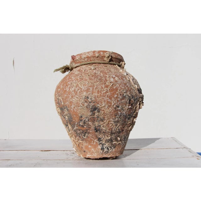 Rustic European 19th Century Antique Terracotta Octopus Trap Undersea Pot For Sale - Image 3 of 12