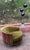 Danish Modern Selig Barrel Swivel Chair in Brazilian Rosewood 1960s. For Sale - Image 9 of 10