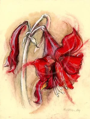 "Amaryllis 2" Original Botanical Mixed Media Drawing on Handmade Paper