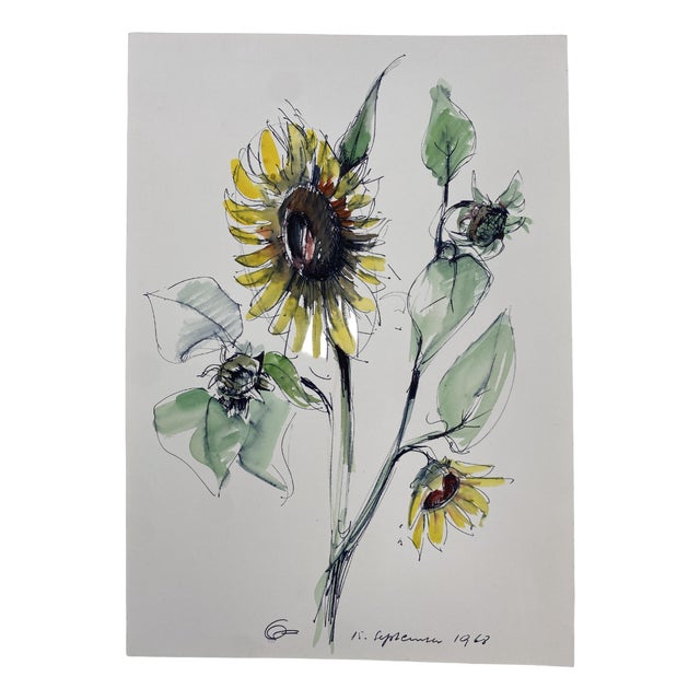 Hans Ott, Sunflower, 1968, Ink and Watercolor Drawing For Sale