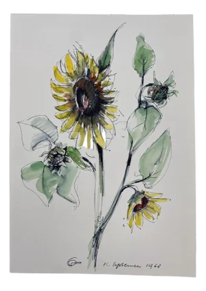 Hans Ott, Sunflower, 1968, Ink and Watercolor Drawing