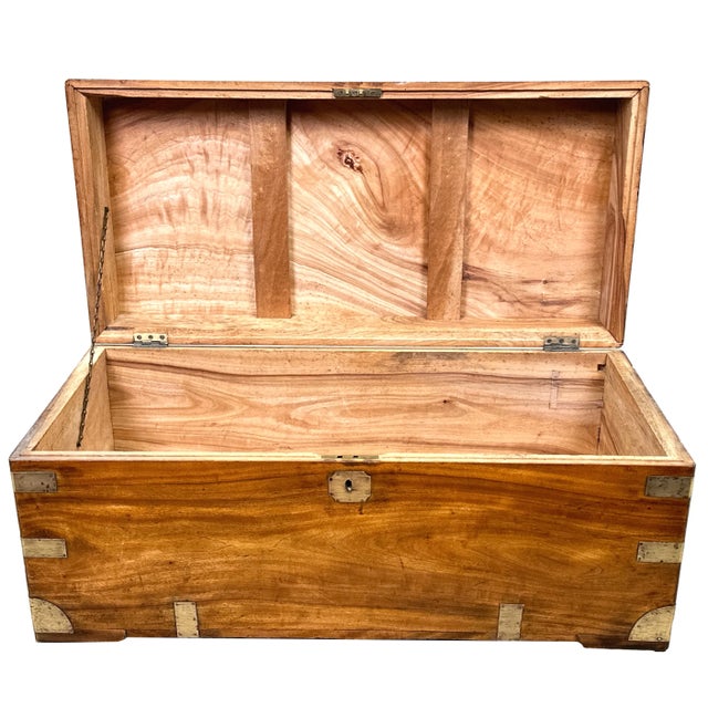 Small 19th Century Camphor Wood Campaign Trunk, 1860s For Sale - Image 3 of 13