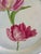 Metal Mid 20th Century Hand Painted Floral Silverplate Tray With Pink Flowers For Sale - Image 7 of 12