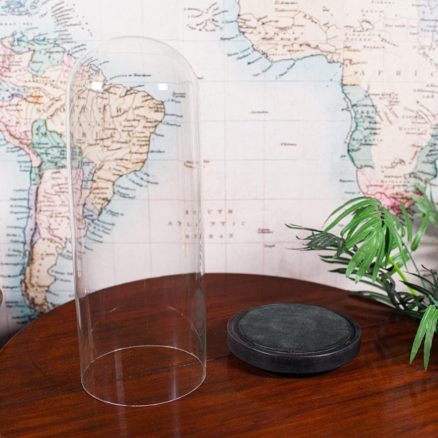 Late 19th Century Large Antique Victorian Display Dome, English, Glass, Taxidermy Showcase, c.1880 For Sale - Image 5 of 10