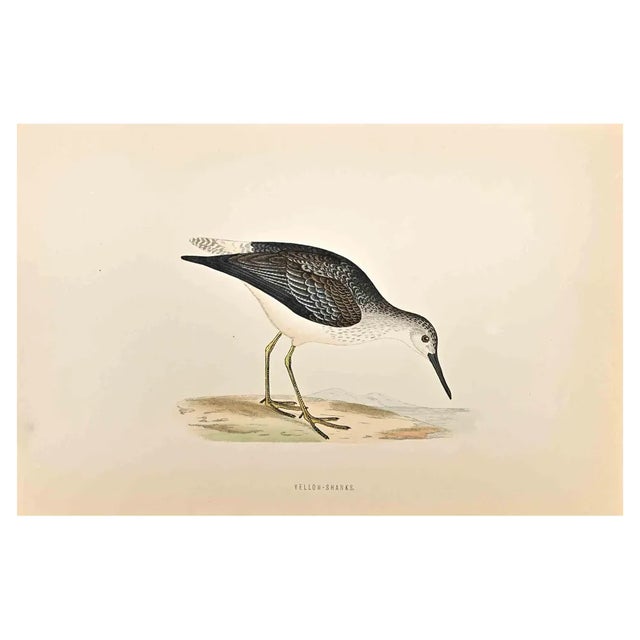 Alexander Francis Lydon, Yellow-Shanks, Woodcut Print, 1870 For Sale