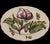 1990s Chelsea Plates Botanical Design by Mottahedeh for Metropolitan Museum of Art - Set of 4 For Sale In Miami - Image 6 of 12