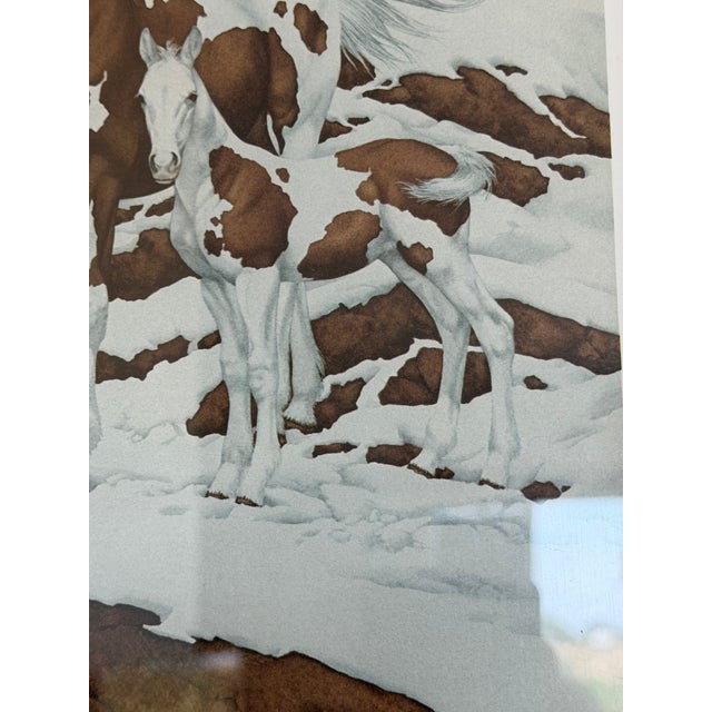 1970s "Pintos"–Bev Doolittle 403/1000 - Signed For Sale - Image 10 of 16