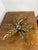 Gold-plated brass wall or ceiling light in the shape of a flower. This is an iconic piece of the Hollywood Regency style,...