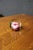 Handcrafted art glass paperweight featuring a sculpted pink rose encased in clear crystal with green accents radiating...