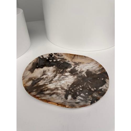 Very Large Vide-Poche or Dish in Petrified Wood For Sale - Image 3 of 18