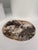 Very Large Vide-Poche or Dish in Petrified Wood For Sale - Image 3 of 18