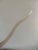 Mid 20th Century Mid-Century Lucite Ram’s Head Sculpture For Sale - Image 5 of 13