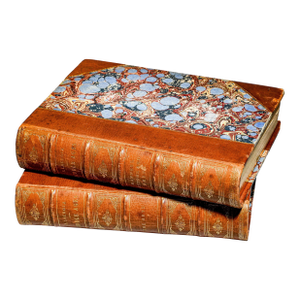 Amazing Illustrated Antique Leather Spine Book Set Middle Ages and Renaissance Art and Culture Paul Lacroix Home Decor Reference