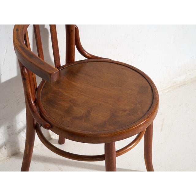 Mundus Bentwood Chairs, 1920, Set of 4 For Sale - Image 13 of 14