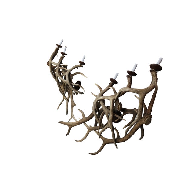 Neoclassical Antler Wall Sconces, Three-Light - A Pair For Sale - Image 3 of 5
