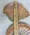 Vintage MCM Fitz and Floyd Omnibus Sea Shells Nautical Appetizer Salad Plates-Set of 4 For Sale In Phoenix - Image 6 of 6