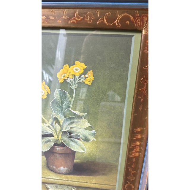Set of 5 Stunning Botanical Framed Prints Signed and Numbered For Sale - Image 17 of 18