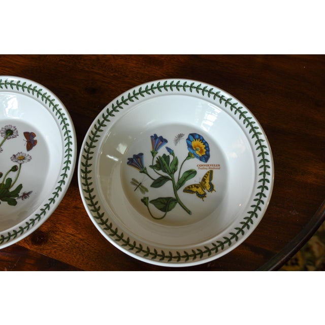Illustration Vintage Portmeirion Botanic Garden Pasta Bowls Set of 2 For Sale - Image 3 of 6
