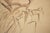 Dove Gray "Duck", Showa Era Japanese Monochrome Watercolor Scroll Painting For Sale - Image 8 of 14