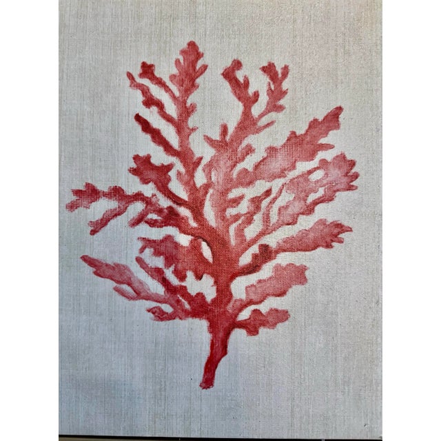 Shabby Chic Framed Red Coral Painting , Pair For Sale - Image 3 of 4