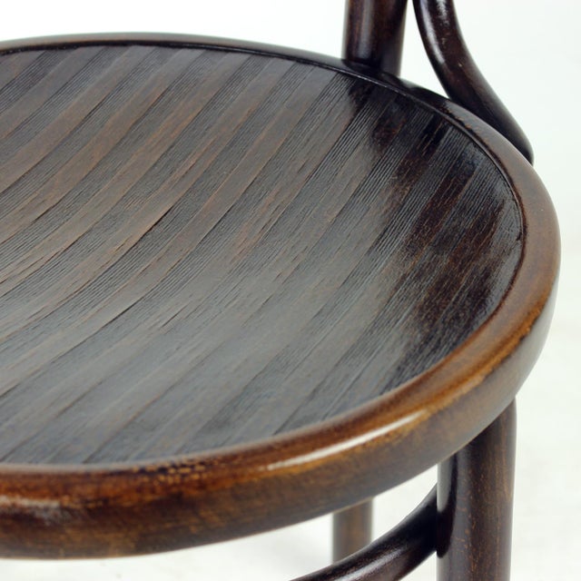Bentwood Chair from Tatra, Former Czechoslovakia, 1940s For Sale - Image 12 of 16