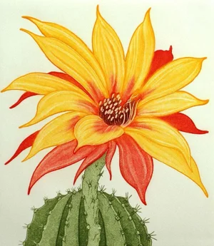 Arnold Iger "Sea Urchin Cactus" Signed Fine Art Etching Floral Artwork 1981 Unframed