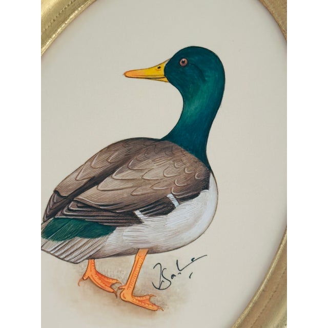 This hand-painted mallard is brought to life with fine, delicate brushstrokes. A rich emerald-green head melts into softly...