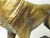 Vintage Gilt Metal Doberman Figurine For Sale In San Francisco - Image 6 of 16