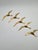 Vintage Wall Decorations Seagulls in Gold Brass, Norway, 1970s, Set of 5, in Very Good conditions. Designed 1970 to 1979