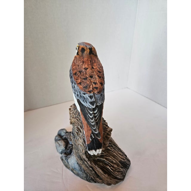 2000 - 2009 Hand Carve American Kestrel Signed H. Saiz For Sale - Image 5 of 10