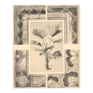 C1900 Rare Antique French Botanical Art Nouveau Lithograph-PALMs For Sale