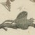 Bertuch, Monitor, Basilisk and Flying Dragon, 1805, Print For Sale - Image 4 of 12