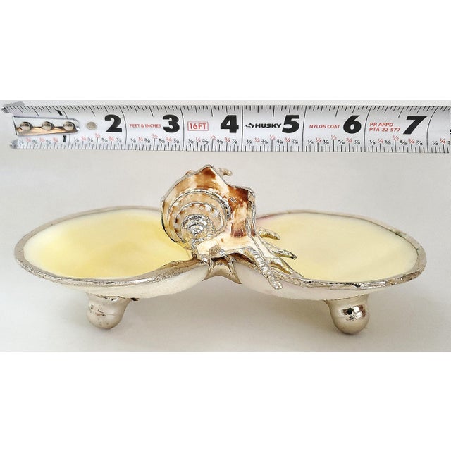 Bowl Caviar Dish Silver Dipped Shells Seashells For Sale In Miami - Image 6 of 14