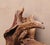 Sculpture del Mare by Pietro Meccani, 2024 Sculpture in carved and carved wood depicting a bird taking flight. Dimensions...