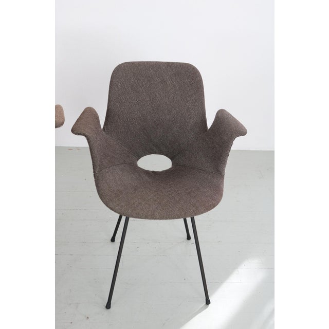 Model Medea Chairs with Fabric Cover by Vittorio Nobili for Frattelli Tagliabue, 1960s, Set of 3 For Sale - Image 16 of 18