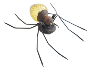 Modern Italian Spider Wall Light, 1950s