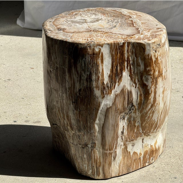 Large Side Table in White and Grey Petrified Wood For Sale - Image 15 of 18