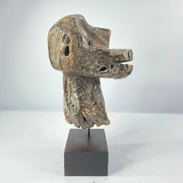 Wood Early 20th Century Zimba Wooden Head on Custom Stand For Sale - Image 7 of 7