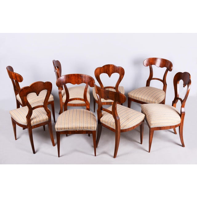 Biedermeier Chairs in Walnut, Austria, 1830s, Set of 8 For Sale - Image 14 of 14